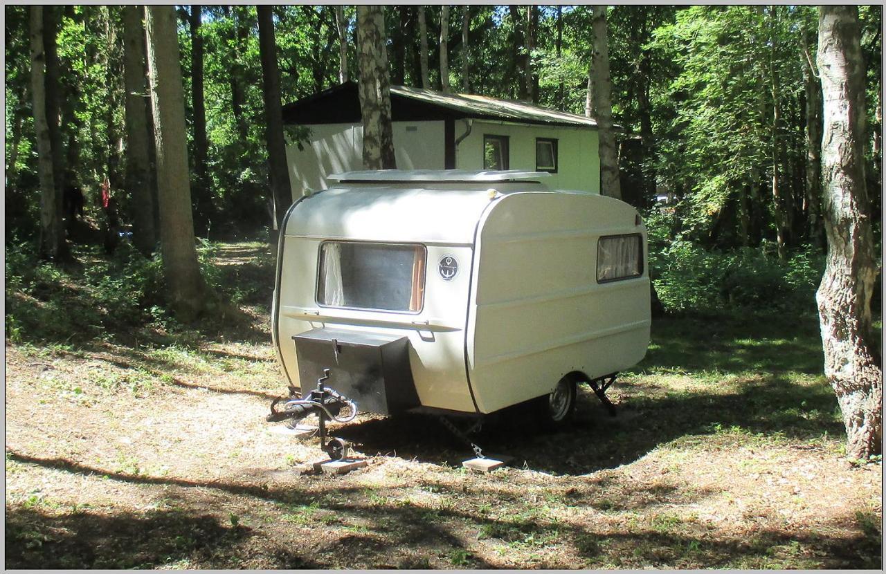 Ddr Wohnwagen Qek Direkt Am Strand Dranske Ngoại thất bức ảnh